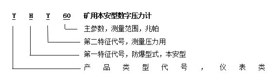 YHY60（B）矿用本安型数字压力计